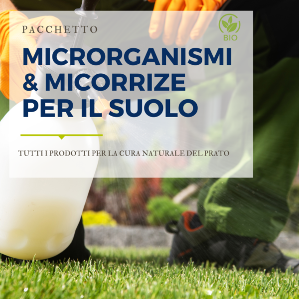 microrganismi e micorrize per il suolo