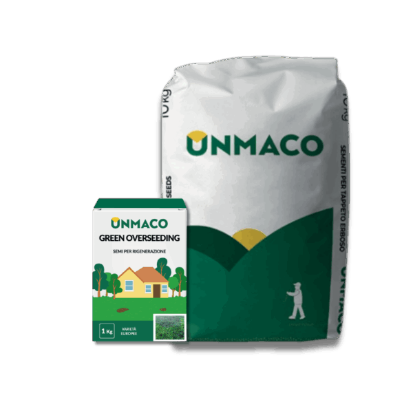 Miscuglio di sementi da trasemina e rigenerazione con Loietto Green Overseeding