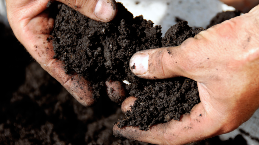 Come calcolare i volumi di terriccio, inerti e corteccia per il tuo giardino
