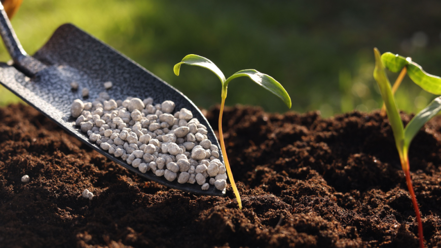 Concimi a cessione lenta e controllata: quali sono le differenze?