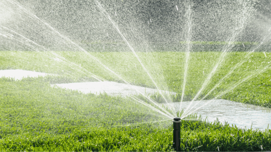 Irrigazione del prato in estate: come mantenere il tappeto erboso verde e sano