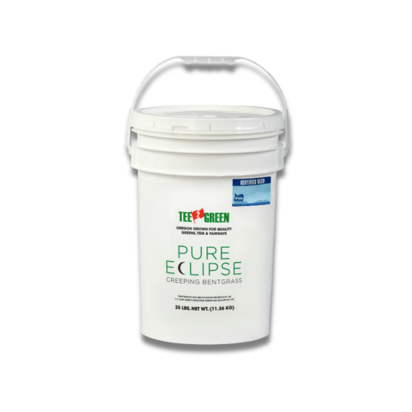 Agrostide americana in purezza Pure eclipse